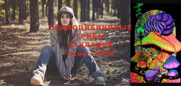 синтетический гашиш Алексин