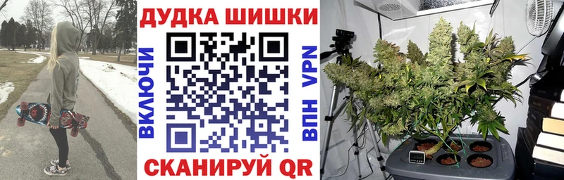 Бошки Шишки гибрид  Куса 